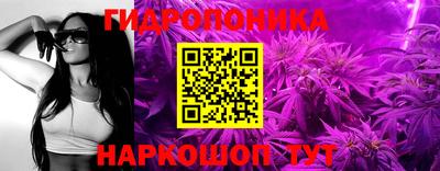 хмурый Будённовск