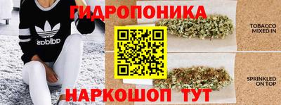хмурый Будённовск