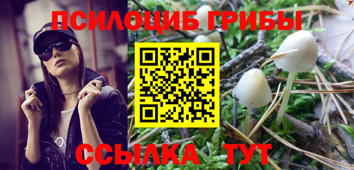 Галлюциногенные грибы Psilocybe  Псилоцибиновые грибы ЛСД  Вход с VPN  Топки 